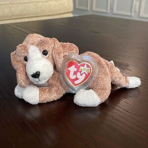 TY Beanie Baby "Sniffer" the Beagle Dog 2000 Mint Condition with ear and Tushtag